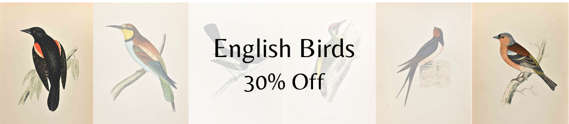30% off all English Birds!