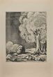 Landscape with Trees 