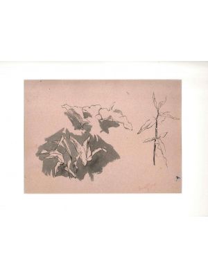 Leaf Sketches - SOLD
