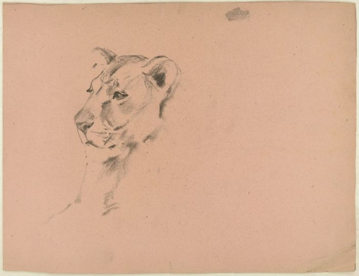 Lioness and a Hunter by Wilhelm Lorenz - Modern Artwork