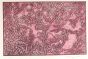 Pink Composition - Mark Tobey - Contemporary Artwork