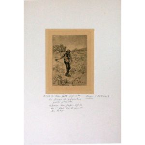 Le Semeur du Paraboles - petite plance