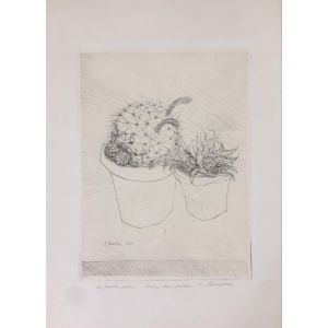 Le Piante Grasse by Luigi Bartolini - Modern Artworks