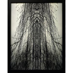 Cathedral by Claudio Palmieri - Contemporary Artwork