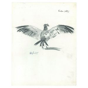 Vautour pape by Ray Lambert- Modern Artwork
