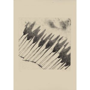 Shadow of Camels by Tullio Diamanti - Modern Artwork