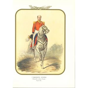 Colonel of the I Swiss Regiment is a lithograph by Antonio Zezon. Naples 1855.