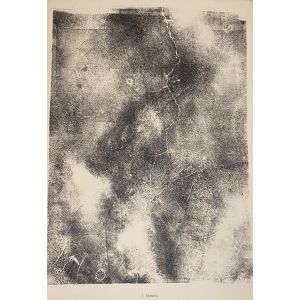 Lesions is an original lithograph on watermarked paper 