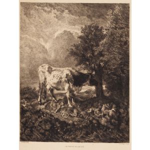 La vache blanche by Constant Troyon