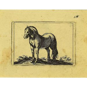 The Horse by Antonio Tempesta - Artwork