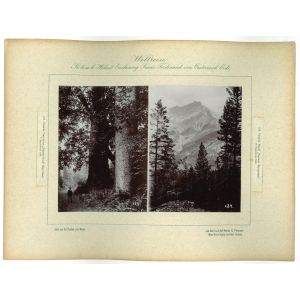 Canada - Cascada Mountains - 10 September 1893 by prince Franz Ferdinand von Osterreich Este - Artwork