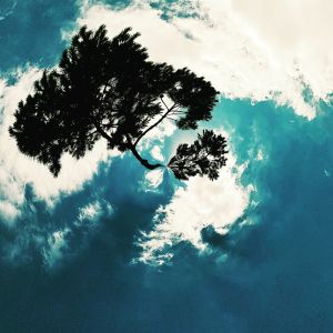 aROUNDme 42