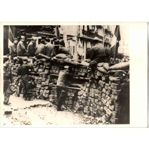 War Trench in Algeri - Original Photographs