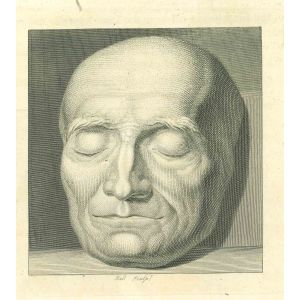 Head of a Man