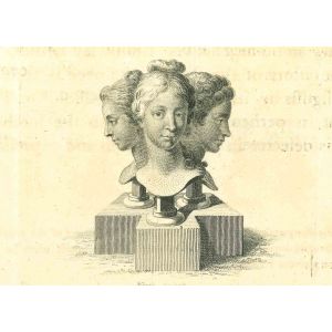 The Physiognomy - The Heads of Women