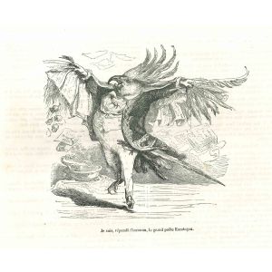 The Great Poet Mr. Cockatoo with Papers