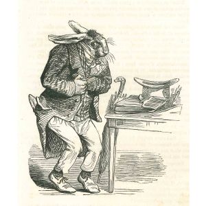 The Lawyer Bunny In A Hurry