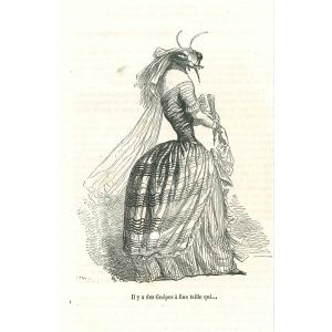 The Bee Bride