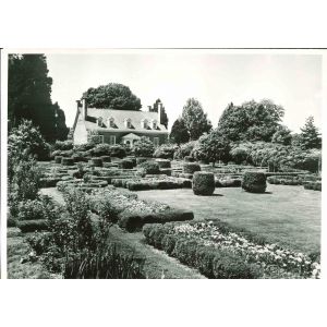 Women's Club - American Vintage Photograph