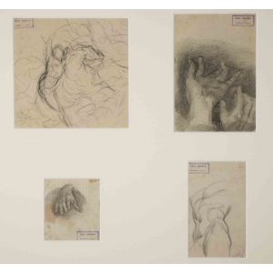 Anatomical Studies