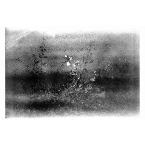 Expired_08_2020
