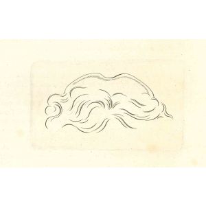 Hair -  The Physiognomy  