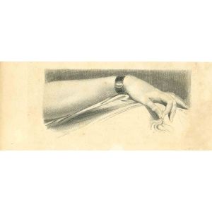 The Physiognomy - The Hand