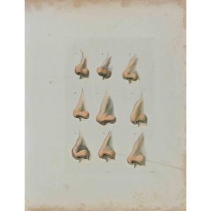 Noses