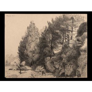 Landscape with Trees