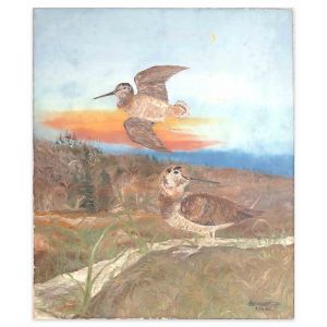 Birds