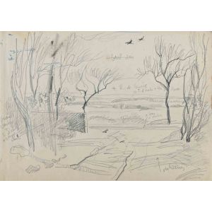 The Landscape
