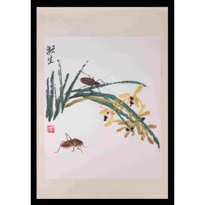 Flowers and Bugs  