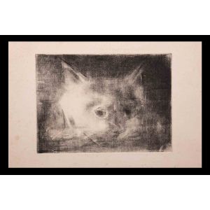 The Cat 