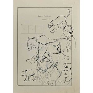 Sketches