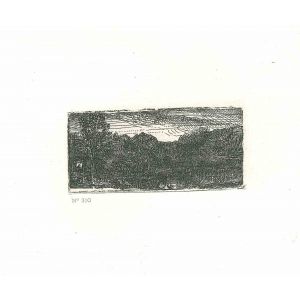 Small Gray Landscape: a House and Trees beside a Pool