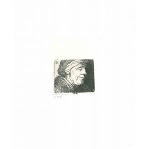 Bust of an Old Woman