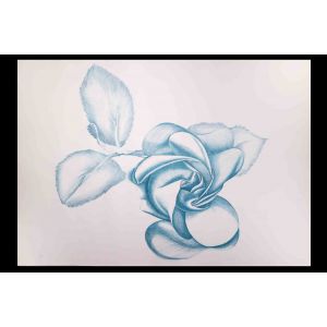 Blue Rose