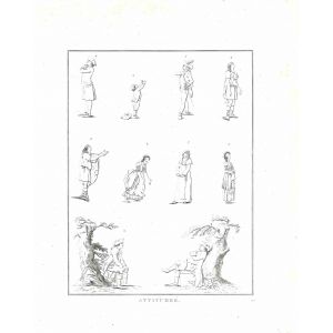 Figures - The Physiognomy