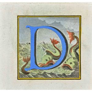 Letter of the Alphabet D