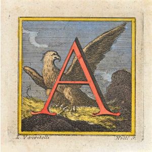 Letter of the Alphabet  A