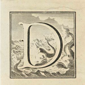 Letter of the Alphabet D