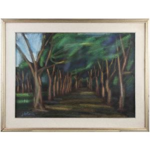 Tree-Lined Street
