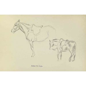 Horses