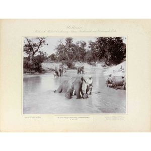 Indien - Nepal, Cattani Camp