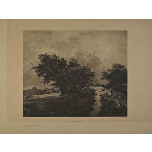 Le Buisson