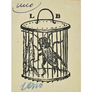 In the Cage
