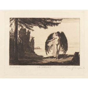 An Shelley