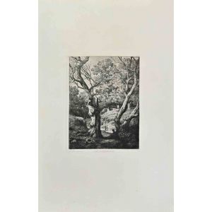 Foret De Fontainebleau