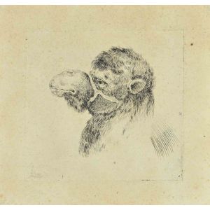 Stefano Della Bella - Head of Camel - Old Masters