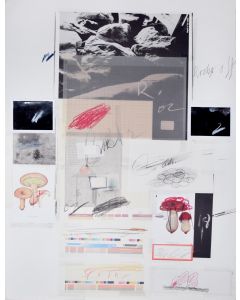 Natural History, Part 1, Mushrooms N. X by Cy Twombly - Contemporary Artwork